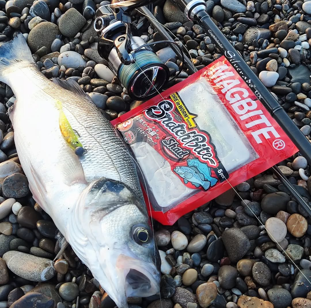 Magbite Snatch Bite Shad 3’’ 04 Kinhara Chart