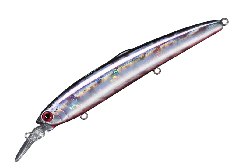 05. Anchovy Shell