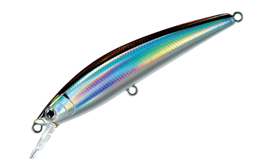 06. Japanese sardine