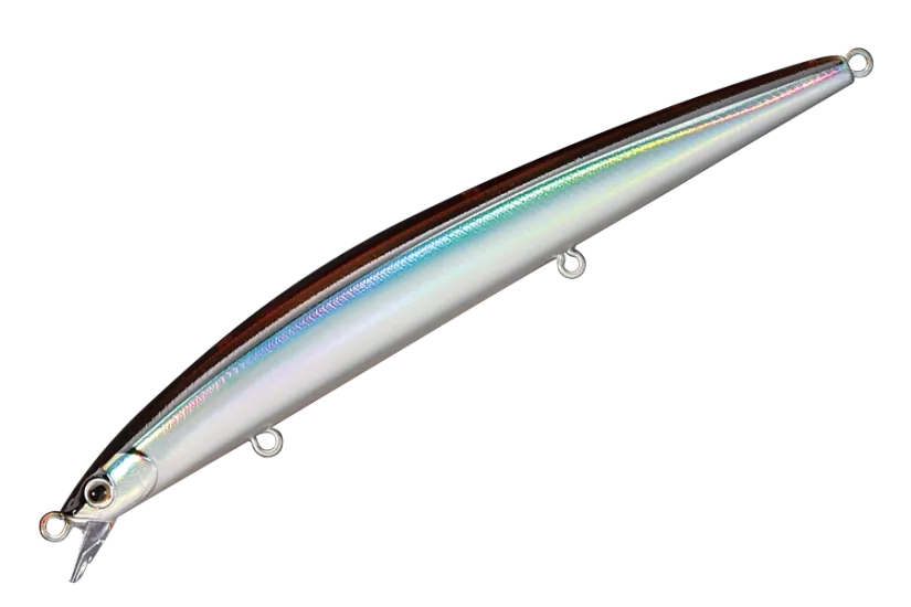 15. Silver-Stripe Round Herring