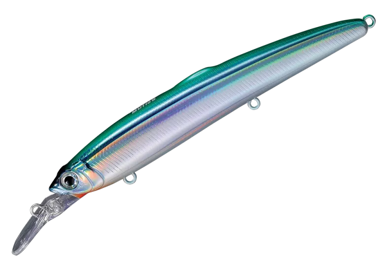 15. Sayori (Japanese halfbeak)
