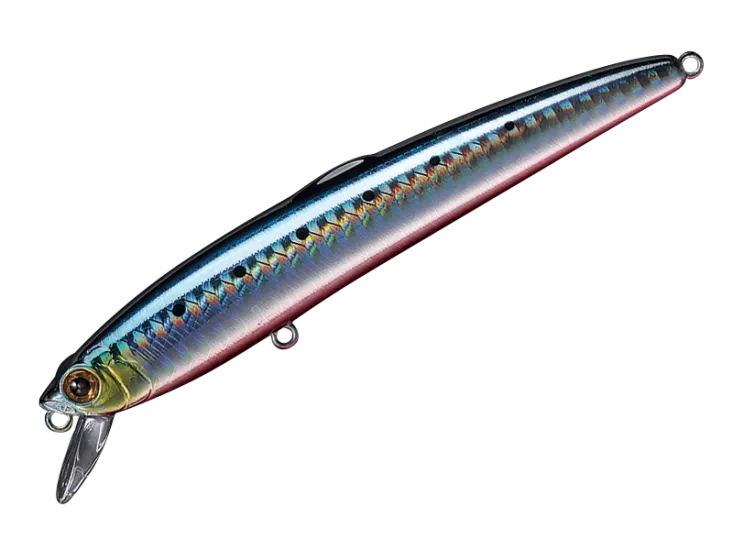 40. Sardine Red Belly