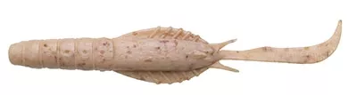 Ecogear Jukusei Aqua Swim Shrimp 3’’ 80mm J05 Pearl Shirasu
