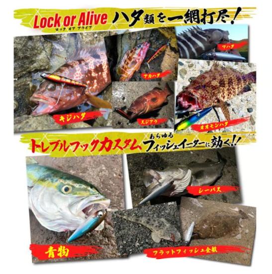  ﻿Rudie’s Gyogoku Pen 100 Sinking 100mm 35gr #GiraGira Cheek