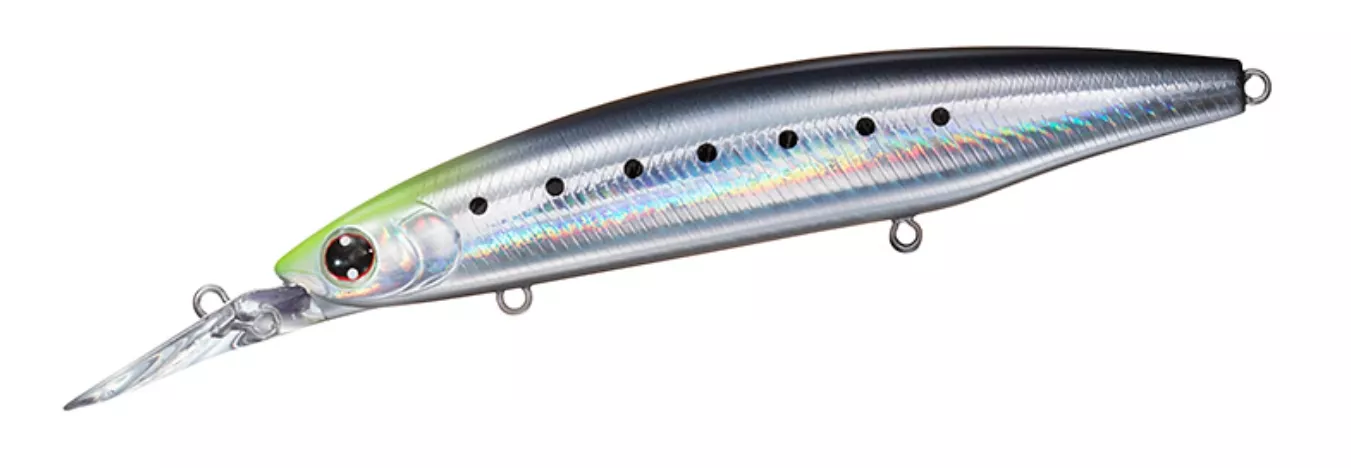 Daiwa Shore Line Shiner Setupper 125S-DR #Aderu Chart Head Iwashi