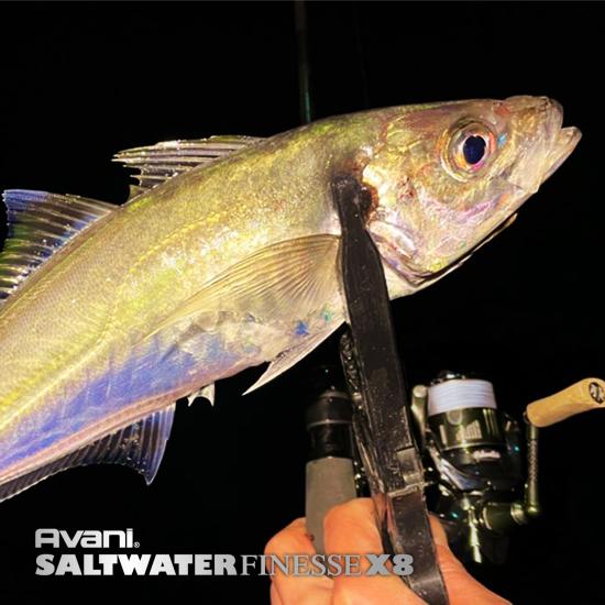 Varivas Avani Saltwater Finesse PE X8 150m